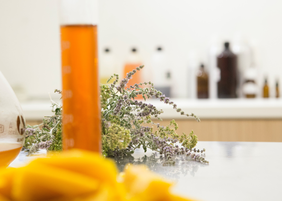 Cosmetics and Daily Chemicals